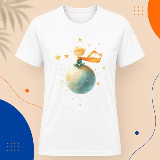 Pánské tričko - Na vrcholu světa - Malý princ - Le petit prince